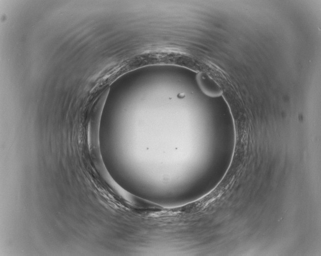 X0000060811014200511141500