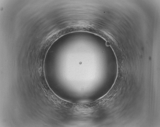 X0000060811015200511141500