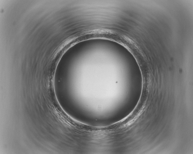 X0000060811017200511141500