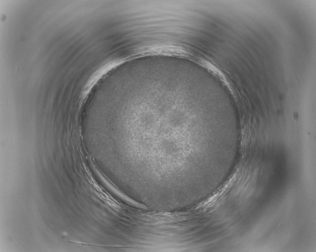 X0000060811019200511141500