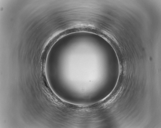 X0000060811021200511141500