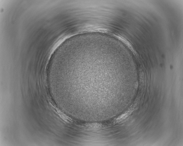 X0000060811023200511141500