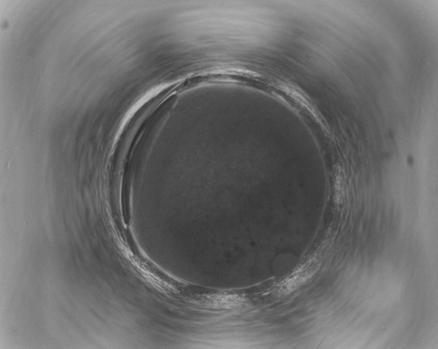 X0000060811024200511141500