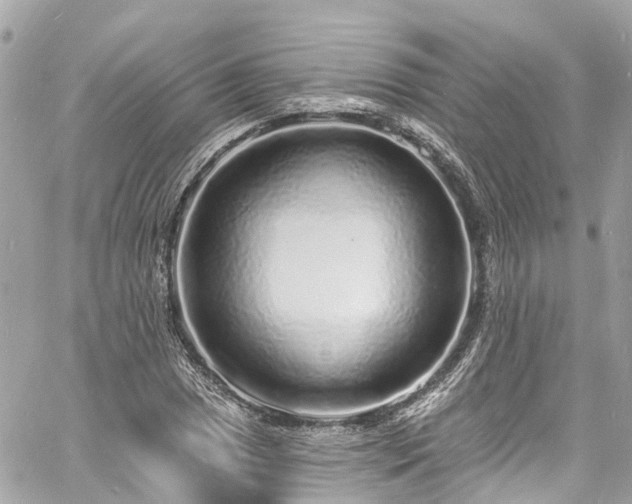 X0000060811025200511141501