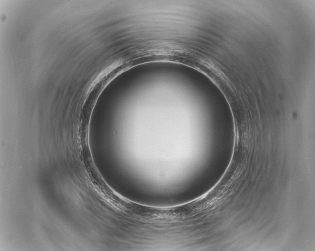 X0000060811026200511141501