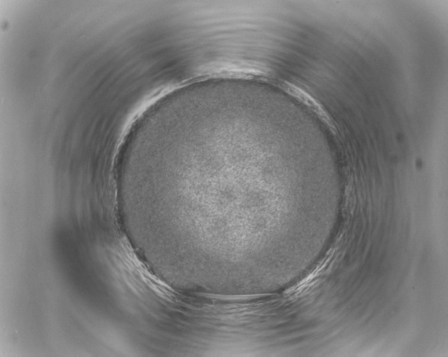 X0000060811027200511141501