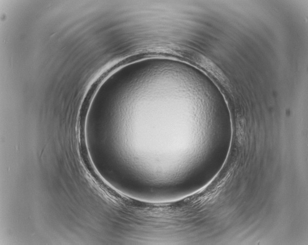 X0000060811028200511141501