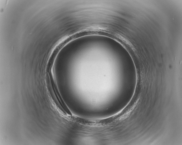 X0000060811029200511141501