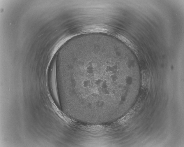 X0000060811031200511141501