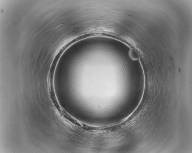 X0000060811032200511141501