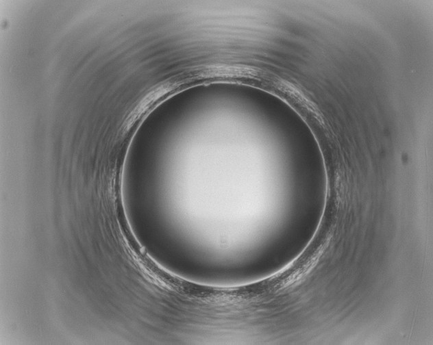 X0000060811033200511141501