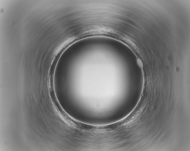 X0000060811034200511141501