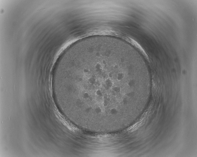 X0000060811035200511141501