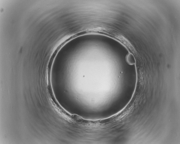 X0000060811036200511141501