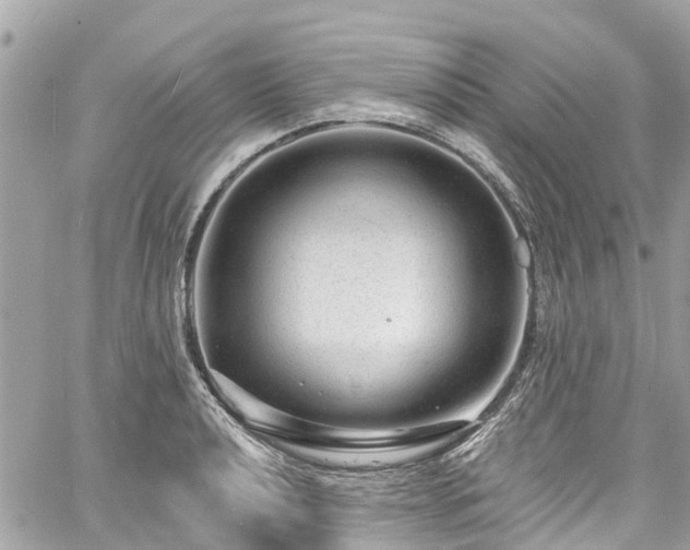 X0000060811040200511141501