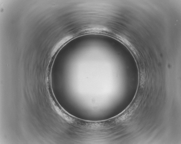 X0000060811042200511141501