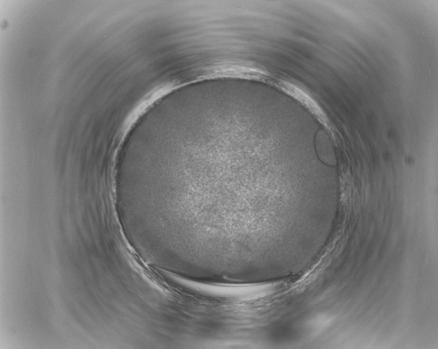 X0000060811043200511141501