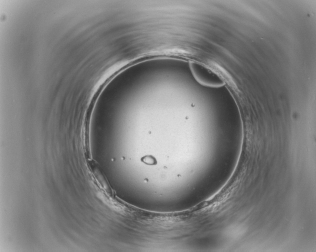 X0000060811044200511141501