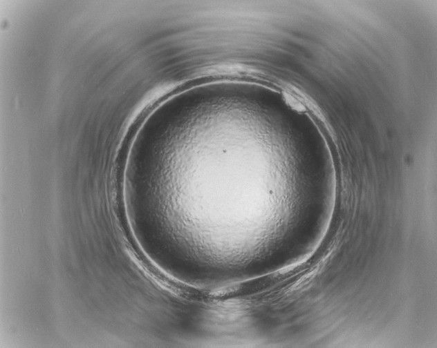 X0000060811045200511141501