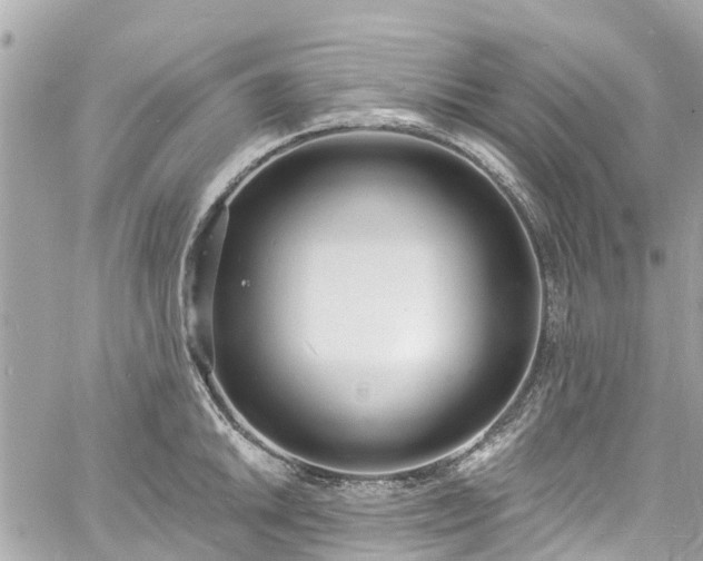 X0000060811046200511141501