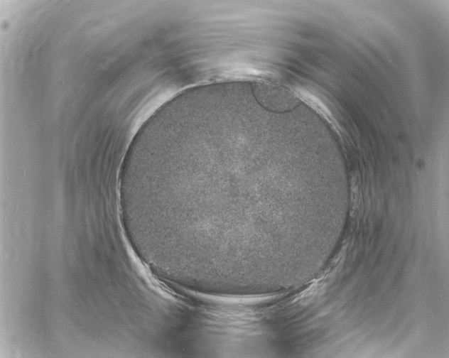 X0000060811047200511141501