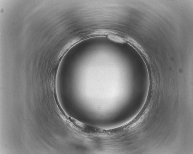 X0000060811049200511141501