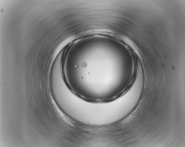 X0000060811050200511141501