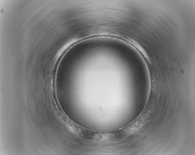 X0000060811051200511141501