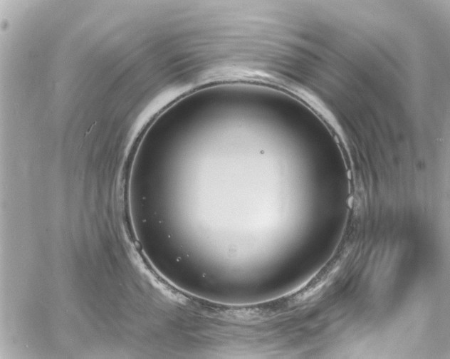 X0000060811053200511141501