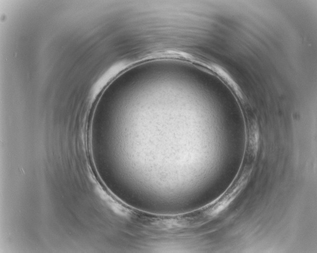 X0000060811054200511141501