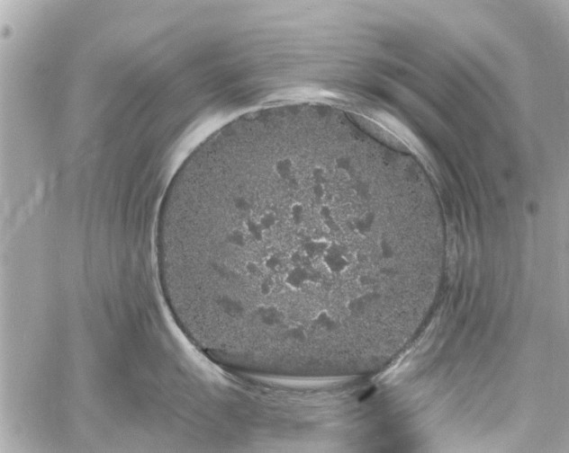 X0000060811055200511141501