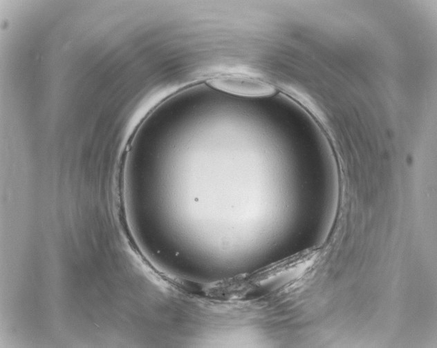 X0000060811056200511141501