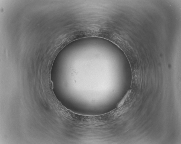 X0000060811057200511141500