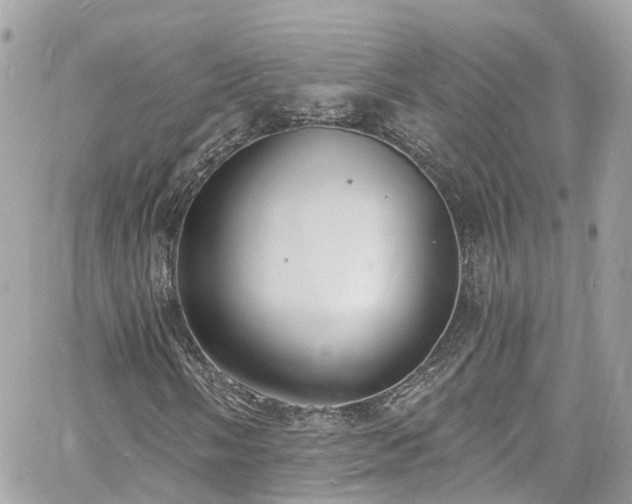 X0000060811058200511141500