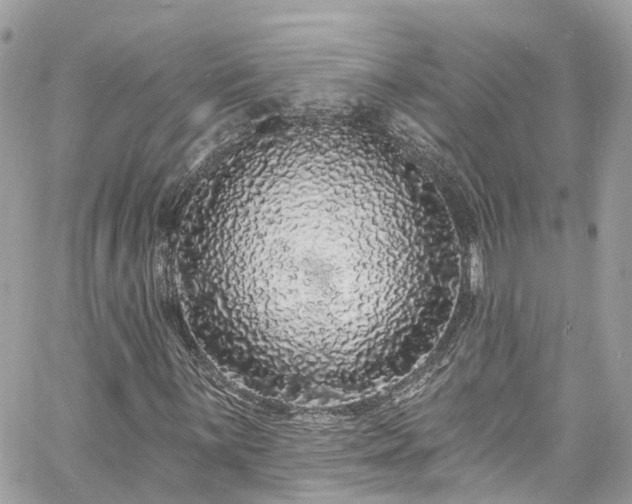 X0000060811059200511141500