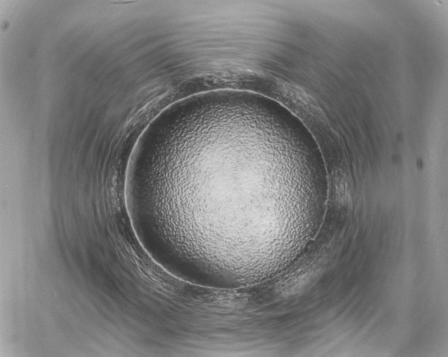 X0000060811060200511141500