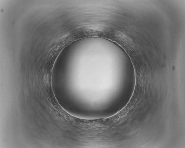 X0000060811061200511141500