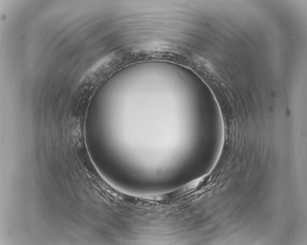 X0000060811062200511141500