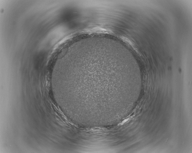 X0000060811063200511141500