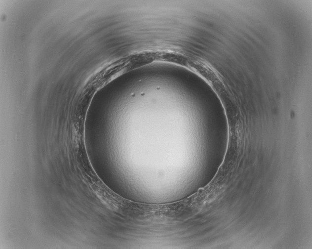 X0000060811064200511141500