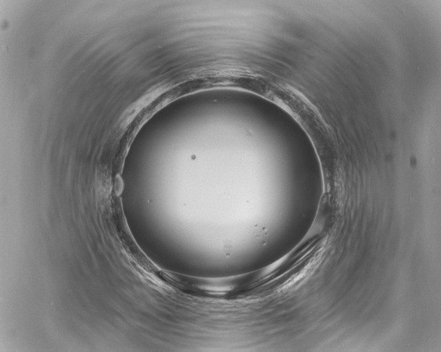 X0000060811065200511141500