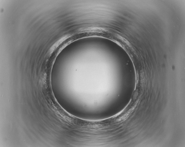 X0000060811066200511141500