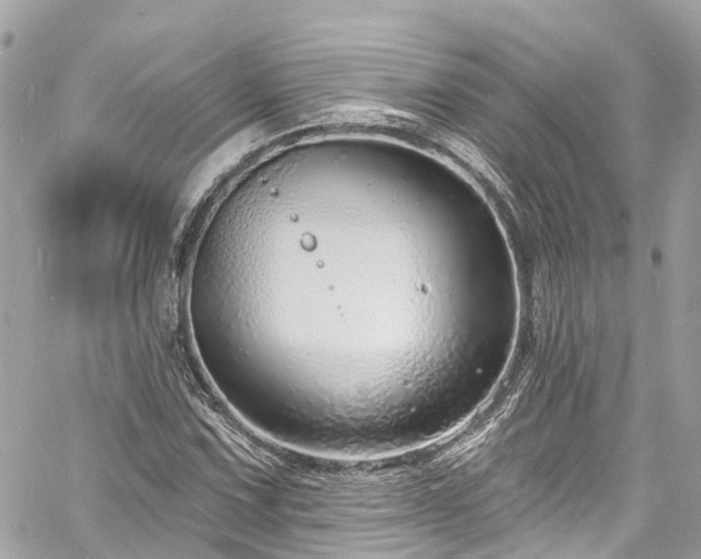 X0000060811067200511141500