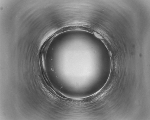 X0000060811069200511141500