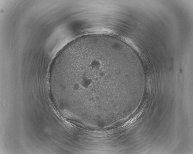 X0000060811071200511141500