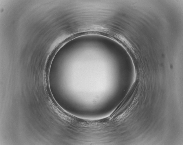 X0000060811072200511141500