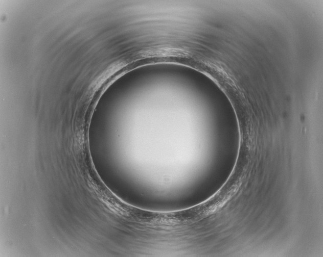 X0000060811073200511141500