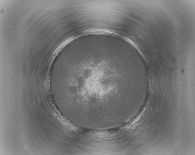 X0000060811074200511141500