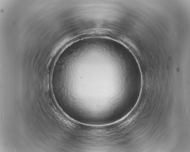 X0000060811075200511141500