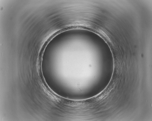 X0000060811076200511141500